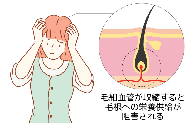 毛根の栄養不足